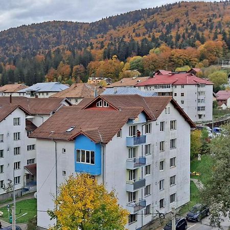 Sinaia Alpineview Residence Εξωτερικό φωτογραφία