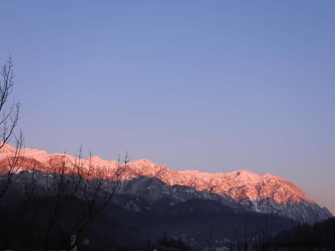 Sinaia Alpineview Residence Εξωτερικό φωτογραφία