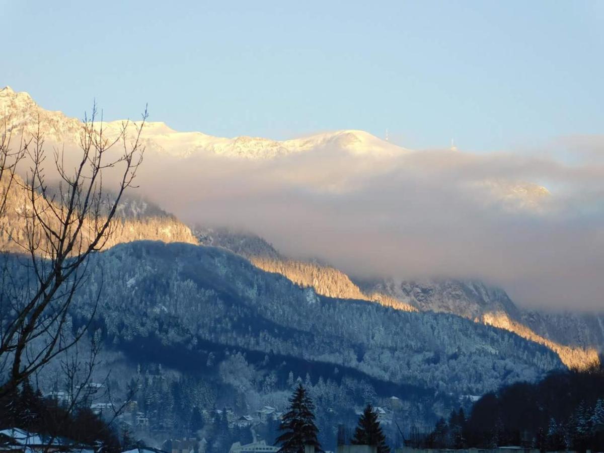 Sinaia Alpineview Residence Εξωτερικό φωτογραφία