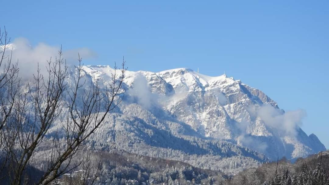 Sinaia Alpineview Residence Εξωτερικό φωτογραφία