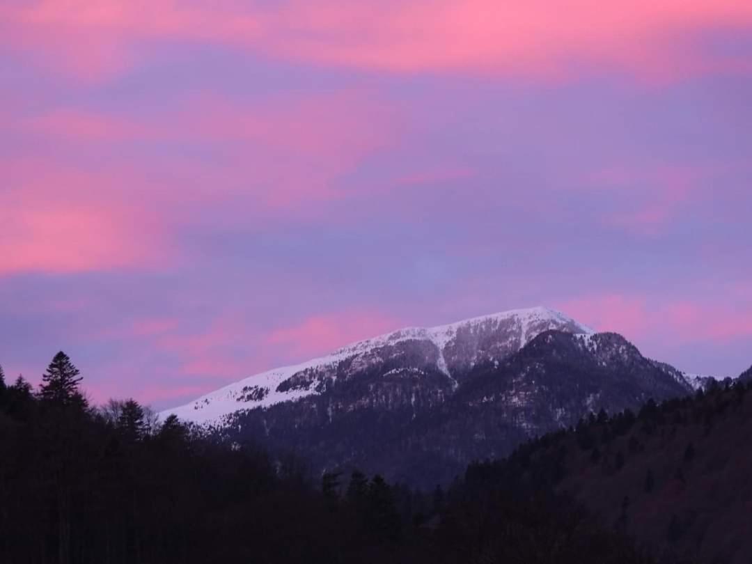 Sinaia Alpineview Residence Εξωτερικό φωτογραφία