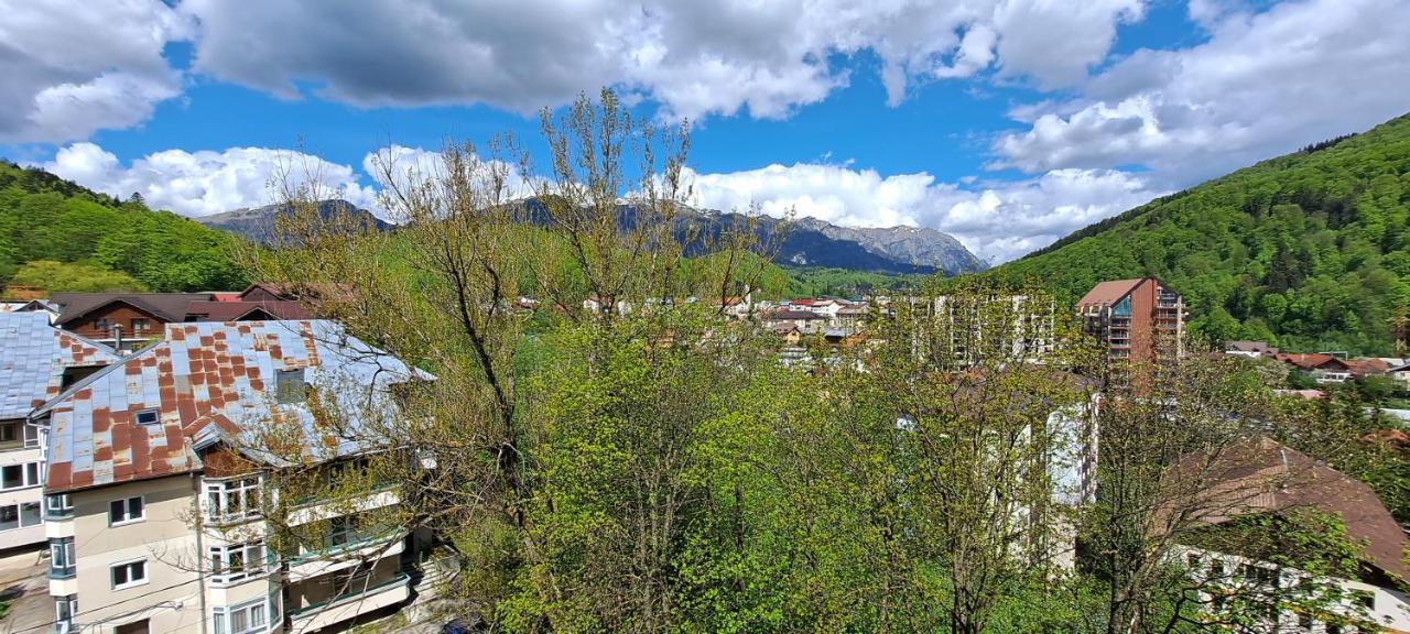 Sinaia Alpineview Residence Εξωτερικό φωτογραφία