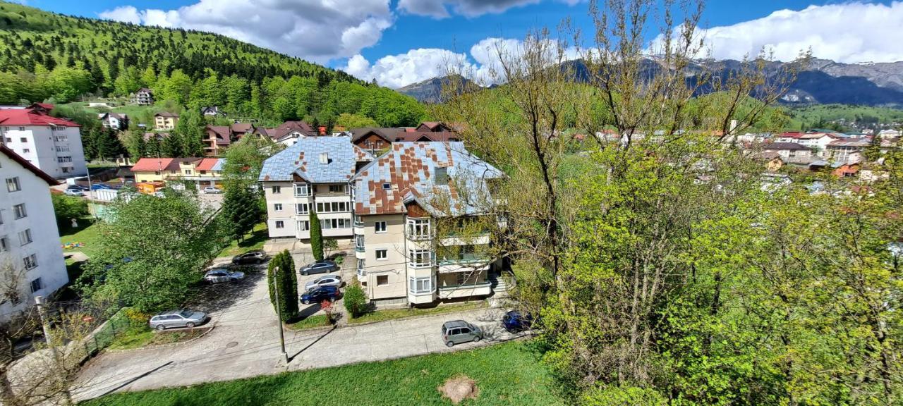 Sinaia Alpineview Residence Εξωτερικό φωτογραφία