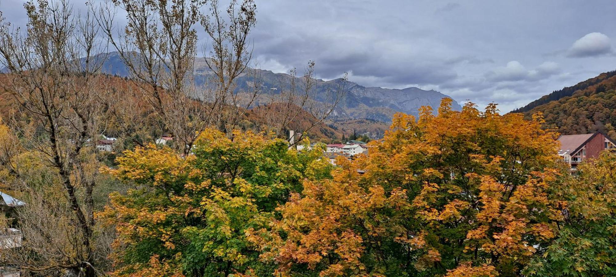 Sinaia Alpineview Residence Εξωτερικό φωτογραφία